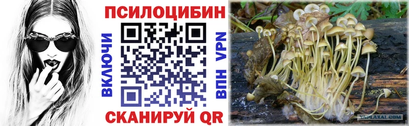 Галлюциногенные грибы Cubensis  Мензелинск 